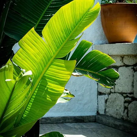 Pom Alacati Boutique *