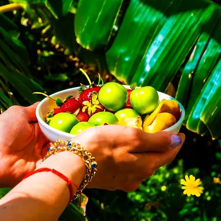 Hotel Pom Alaçatı Boutique Çeşme